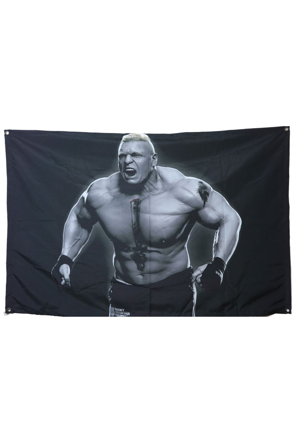 Brock Lesner Tapestry